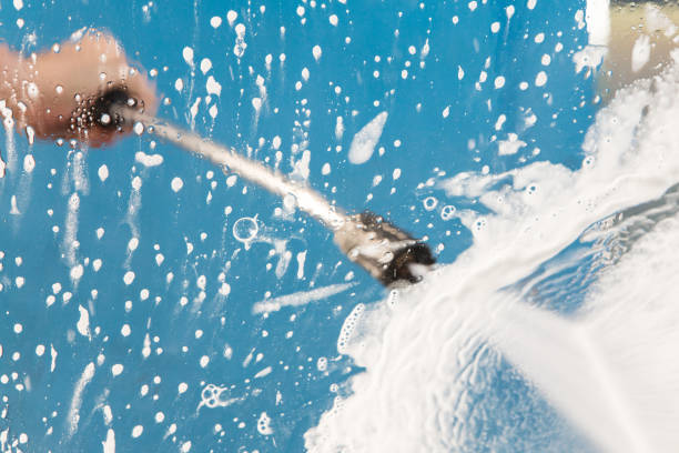 Best Roof Washing  in Bodega Bay, CA