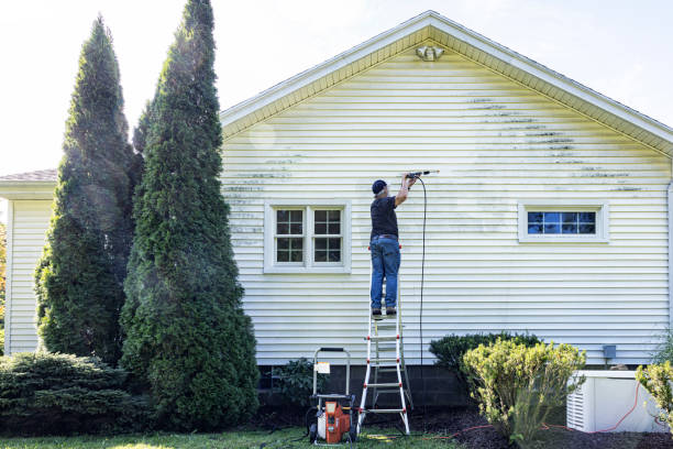 Best Building Exterior Washing  in Bodega Bay, CA
